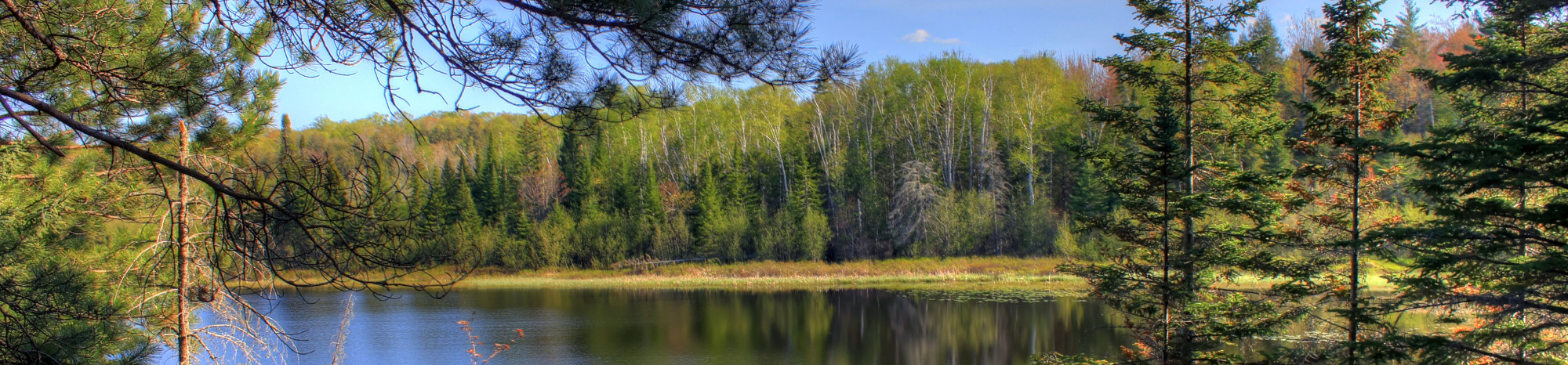 Beaver Lake